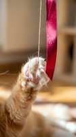 Ginger cat reaching up to play with red glittery ribbon and string, perfect for holiday, pet behavior, and festive celebration content.