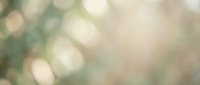 Soft blurred bokeh background with warm golden and green light circles creating dreamy atmospheric effect for design projects and overlays.