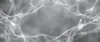 Monochrome neural network web with glowing white fibers forming a frame on soft gray bokeh background, science and technology concept.