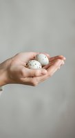 Hand holding two speckled quail eggs on neutral background, suitable for food, agriculture, cooking, and wellness design projects.