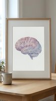 Watercolor brain anatomy illustration in wooden frame on desk for medical education, neuroscience study, healthcare office decor and psychology practice.