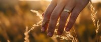 Hand gently touching golden wheat ears in warm sunlight during harvest season, symbolizing agriculture, farming, and natural food production.