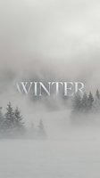 Misty winter landscape with snow-covered ground, foggy pine forest, and silver metallic Winter text overlay for seasonal design.