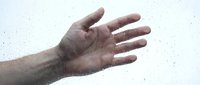 Open palm of a male hand with medium skin tone against white background, ready for design projects and commercial use.