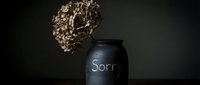 Dried hydrangea in a dark ceramic vase with the word Sorry written in chalk, moody still life symbolizing apology and regret.