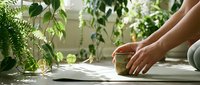 Woman practicing yoga meditation with singing bowl surrounded by lush green plants in bright natural sunlit room for wellness and mindfulness.