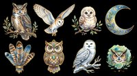 Watercolor owl clipart set with feathers and crescent moon, isolated on transparent background. Great for stickers, t-shirt design, print on demand, and sublimation.