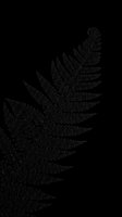 Black fern leaf isolated on transparent background, ready for t-shirt design, clipart, stickers, sublimation and print-on-demand projects.