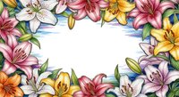 Colorful lily flowers frame border with white center space for text. Floral botanical arrangement with pink, yellow, orange blooms and green leaves.