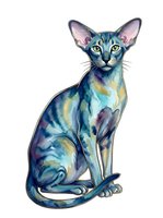 Colorful watercolor Sphynx cat with large ears and distinctive facial features, painted in vibrant blue, purple, and gold tones on isolated white background. Suitable for pet-related designs and artwork.