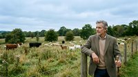 Mature male farmer in tweed jacket standing by wooden fence with cattle grazing in pastoral countryside field under cloudy sky for agricultural business.
