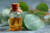Small glass bottle with eucalyptus essential oil and fresh green leaves on gray textured background, natural aromatherapy and spa concept.