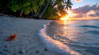 Vibrant sunset illuminates tropical beach shoreline with gentle waves lapping white sand, palm trees silhouetted against orange sky, creating serene coastal atmosphere.