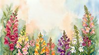 Watercolor snapdragon flowers in pink, yellow, purple, and white border a soft pastel background with copy space for text.