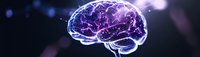 Glowing purple brain with neural connections on dark background shows artificial intelligence and machine learning concept for medical research.