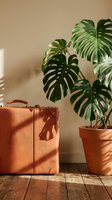 Vintage tan leather suitcase beside a monstera plant in a terracotta pot, warm sunlight casting shadows on a wooden floor.