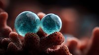 Glowing turquoise cells dividing on red tissue background, microscopic view of cellular reproduction process in medical science research.