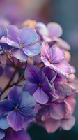 Delicate purple and pink flowers with soft petals blooming in cluster, dreamy bokeh background creates romantic spring garden atmosphere for nature photography.