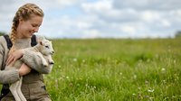 Young Caucasian girl holding lamb in rural pasture field with green grass and cloudy sky, suitable for agriculture, farming, and animal husbandry content.