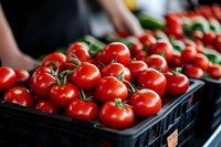 Fresh ripe red tomatoes in black plastic crates at farmers market with vendor in background. Organic produce display for healthy eating and cooking.