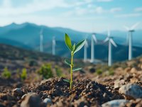Young green plant sprouting from soil with wind turbines and mountains in background, representing sustainable development and renewable energy future.