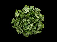 Fresh chopped green herbs isolated on transparent background, ready for culinary design, recipe graphics, cooking blogs, food packaging, restaurant menus, and print-on-demand kitchen products.