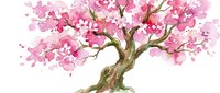 Gnarled tree with abundant pink blossoms and delicate petals, suitable for spring designs, wellness graphics, nature themes, and decorative botanical artwork.