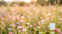 Unrecognizable person holding blank white card in wildflower meadow with pink and purple blooms during golden hour, suitable for marketing mockups and promotional campaigns.