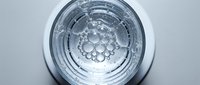 Top view of a glass of clear water with bubbles on a light gray background, capturing purity and freshness in a minimalist style.
