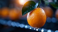 Fresh ripe orange with green leaf on dark blue bokeh background, natural organic citrus fruit in moody lighting with water drops and sparkles.