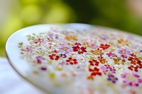 Colorful tiny flowers scattered across white plate with blurred green foliage background, suitable for spring themes, floral designs, and decorative projects.