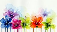 Vibrant watercolor hibiscus flowers in rainbow colors with paint drips on white background for spring and summer designs.