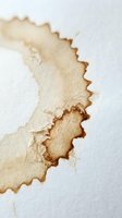 Torn and burnt paper edge with jagged borders and brown scorch marks on white background, suitable for grunge textures, vintage designs, and distressed graphic overlays.