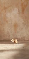Wilted flower petal on concrete floor against textured beige wall, symbolizing decay, loss, and passage of time for editorial and conceptual design projects.