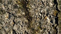 Cracked, parched earth surface with deep fissures and dry soil texture, suitable for environmental, climate change, drought, and nature-related projects.