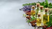 Essential oils in glass bottles with cork stoppers surrounded by fresh herbs, lavender, cinnamon sticks and spices for aromatherapy and natural wellness.