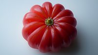 Fresh ripe red heirloom tomato with distinctive ribbed shape and smooth skin on light background, macro food photography showing natural texture and detail.