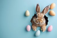 Adorable brown bunny rabbit peeking through paper hole surrounded by pastel Easter eggs on blue background, creative holiday composition for seasonal cards.
