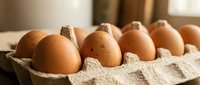 Fresh brown eggs arranged in cardboard carton on kitchen counter with warm natural lighting for cooking and baking recipes.