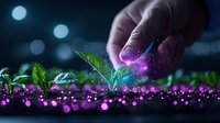 Magical gardening concept with glowing purple particles and hand sprinkling stardust over growing green plant sprouts against dark background with bokeh lights.
