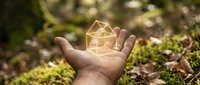 Hand holding glowing geometric house outline in forest setting with moss and natural lighting for real estate and eco-friendly home concepts.