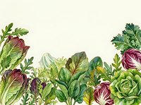 Watercolor illustration of fresh leafy vegetables and salad greens arranged at bottom border, featuring lettuce, radicchio, and herbs on cream background. Suitable for food, cooking, and wellness design projects.