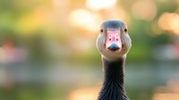 Curious goose with pink beak in close-up portrait against blurred natural background with soft bokeh lights, showing detailed feathers and expressive eyes.
