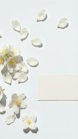White jasmine flowers and petals arranged on neutral background with copy space for design, branding, and wedding projects.