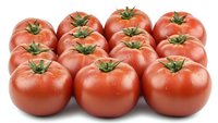 Fresh ripe red tomatoes arranged in rows on white background, with water droplets and green stems showing natural organic produce for healthy eating.
