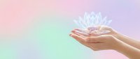 Hands holding glowing white lotus flower on pastel gradient background for meditation, spirituality and wellness concepts.