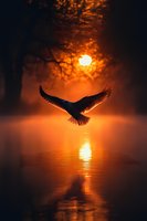 Majestic bird silhouette soaring over tranquil water at golden sunset with dramatic clouds and warm orange reflections creating peaceful nature scene.