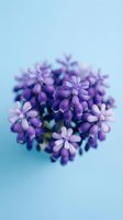 Purple lilac flowers blooming in soft focus against pastel blue background creating dreamy spring botanical composition for wellness and nature designs.
