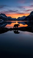 Bear silhouette reflected in calm mountain lake at dramatic sunset with snow-capped peaks and colorful sky for nature and wildlife concepts.