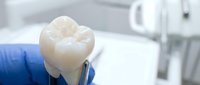 Dentist in blue gloves holding extracted human molar tooth in modern dental clinic office for oral surgery and dental care procedures.